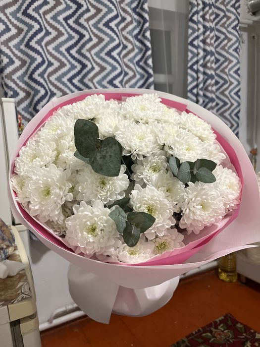 Цветы хризонтема