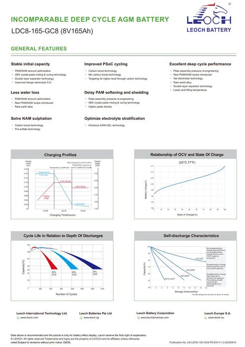 Тяговые аккумуляторы 8 Вольт LEOCH