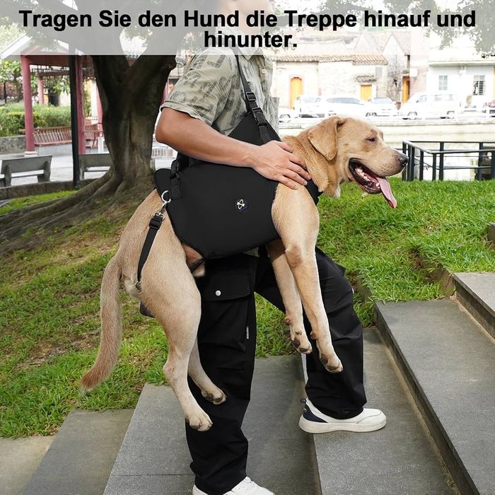Curea de transport pentru câini Coodeo