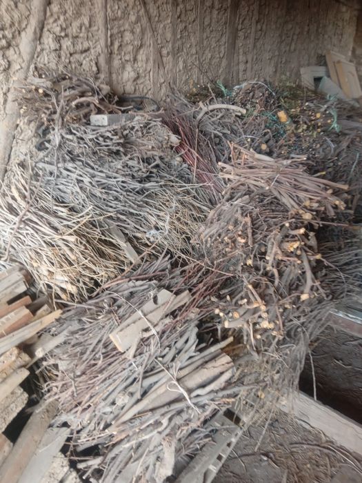 Xar xil turdagi o'tinlar