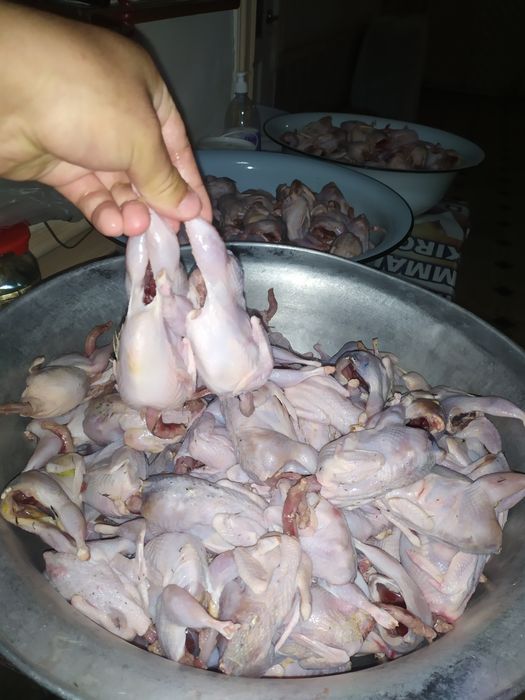 Беданалар сотилади