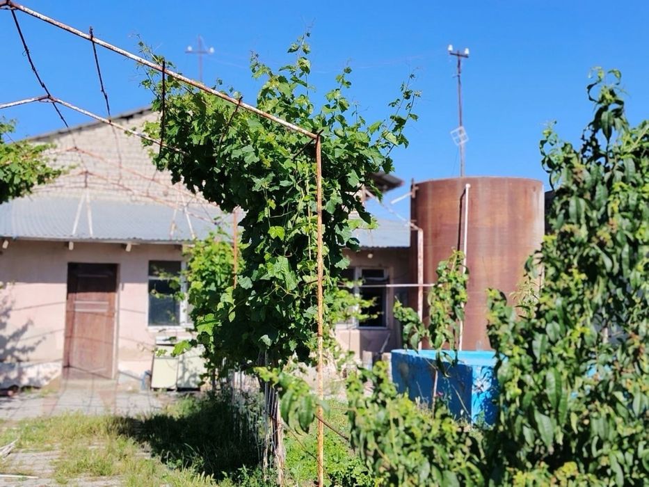 Uchastka Arendaga beriladi