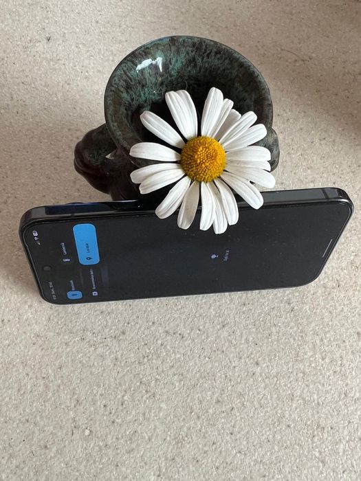 Google Pixel 10 PRO impecabil