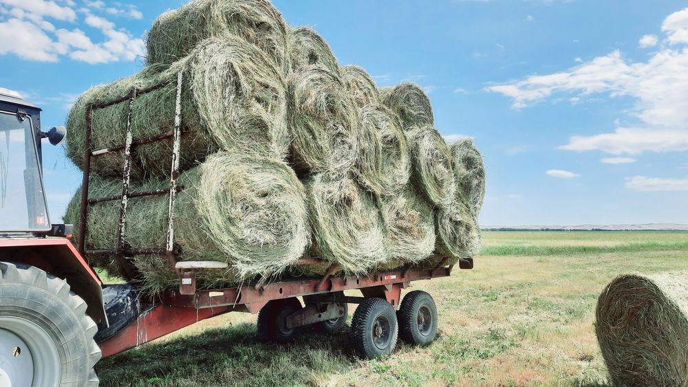 Трактор мтз Беларусь 892,2