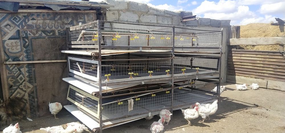 Продам клетки для кур