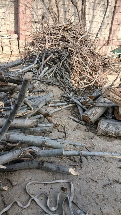 Дрова орех сухие выпилинные