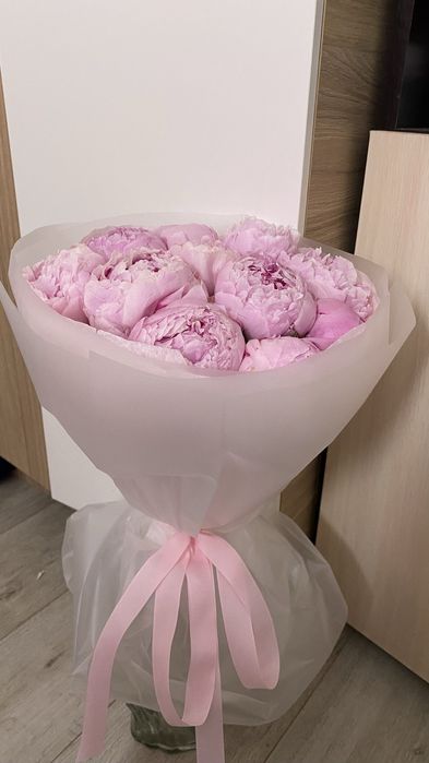 Цветы пионы розовые