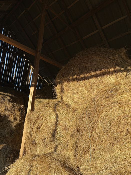 Vând baloți rotunzi