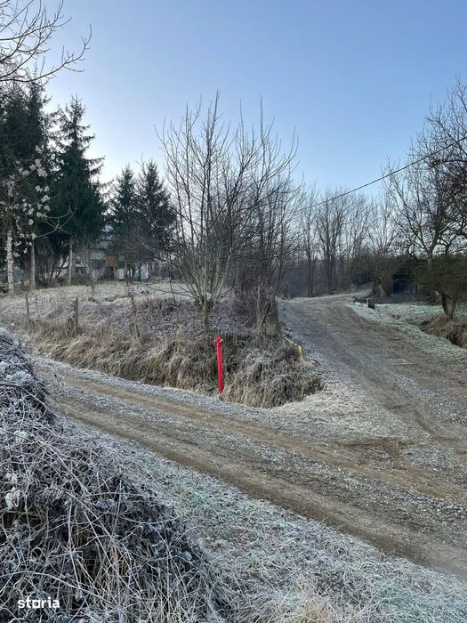 Bardesti - Teren intravilan 1247 mp, toate utilitatile, - Vedere 4