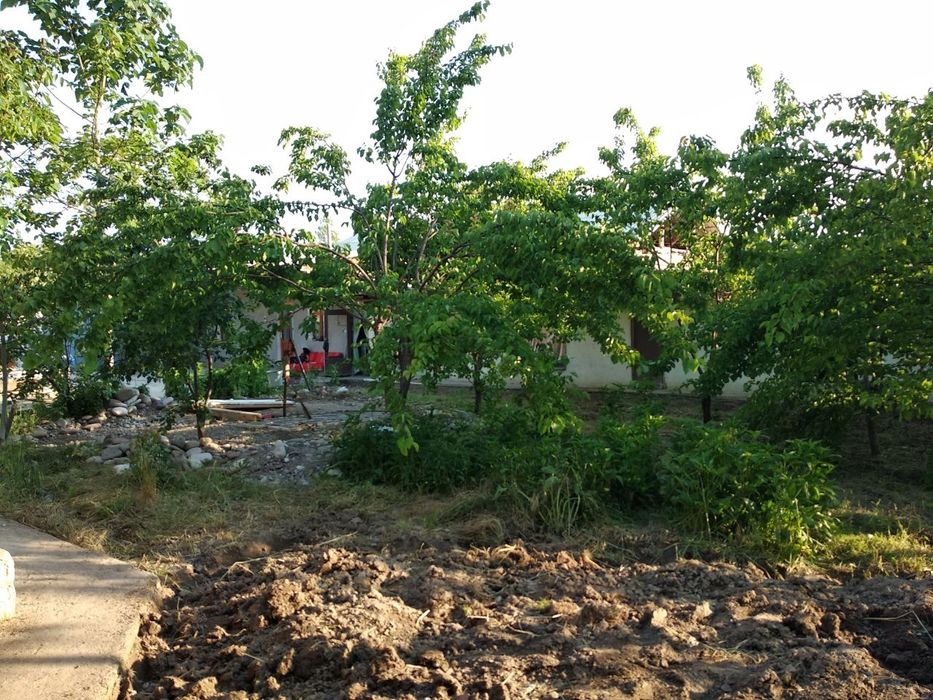 Продажа дачного участка возле парка Янги Узбекистан, Янги базор