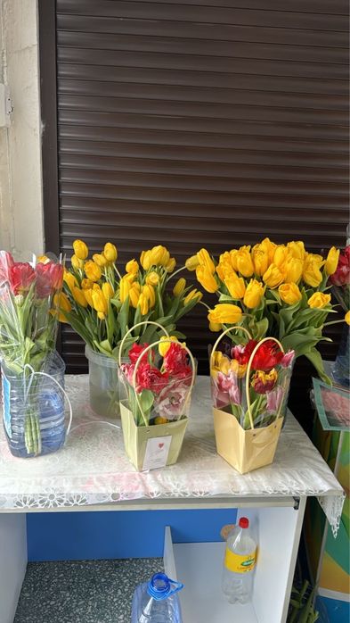 Премиальные тюльпаны