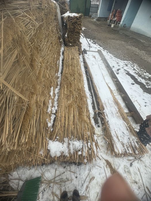 Қамыс, Маты сатылады,