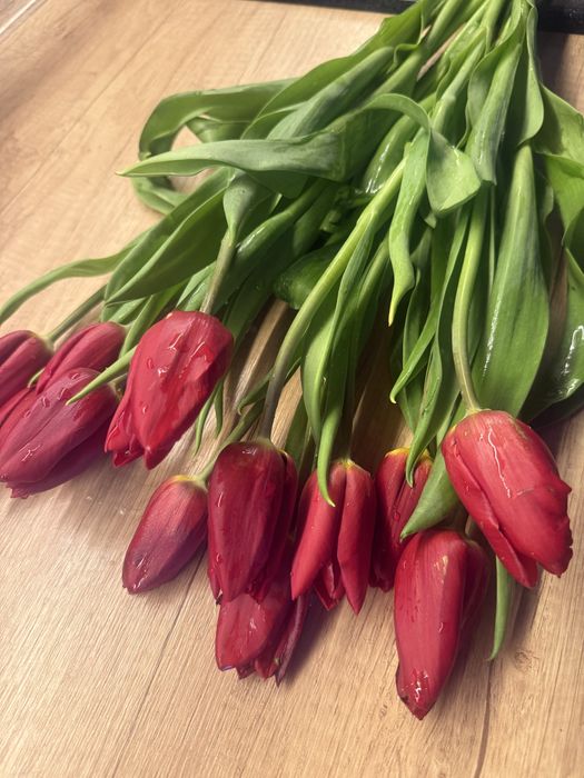 Продам тюльпаны очень красивые