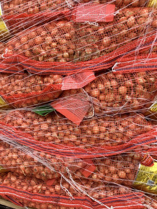 Vand arpagic stuttgarter reisen olanda