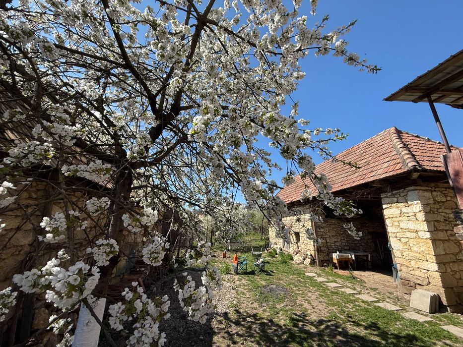 Casa in Podeni, comuna Moldovenești, potential deosebit