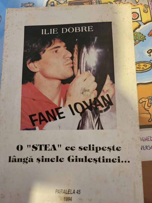O stea ce sclipeste langa sinele Giulestinei-ilie dobre
