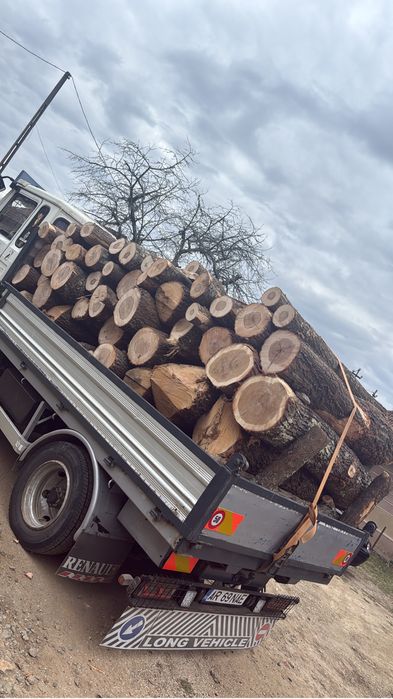 Lemne de foc esenta tare