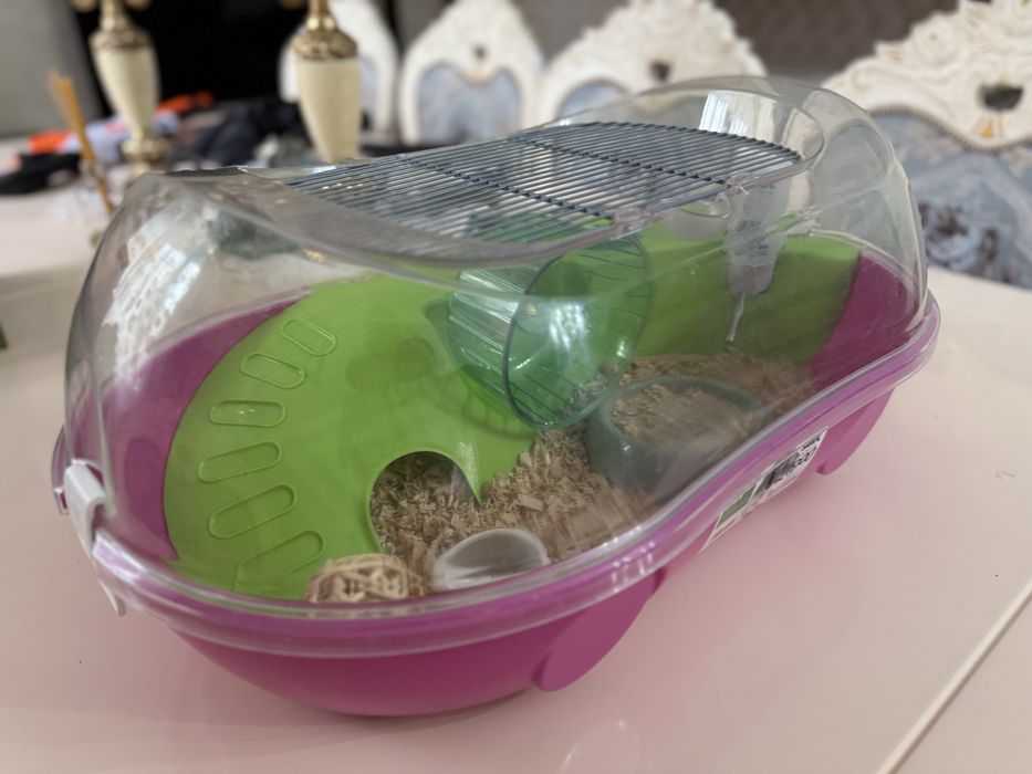 Хомяк с крутым жильем