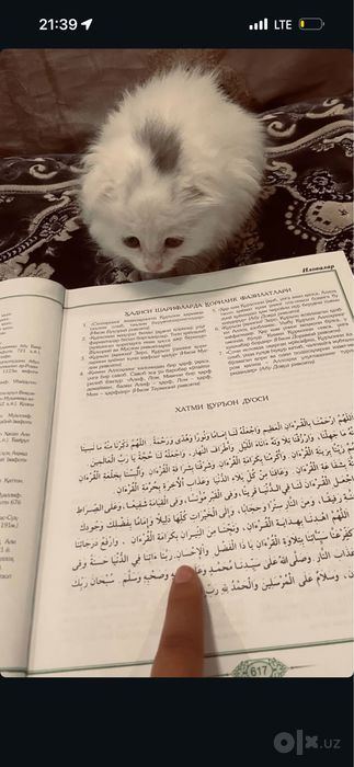 Latok qiladi korin yiydi 3 oylik