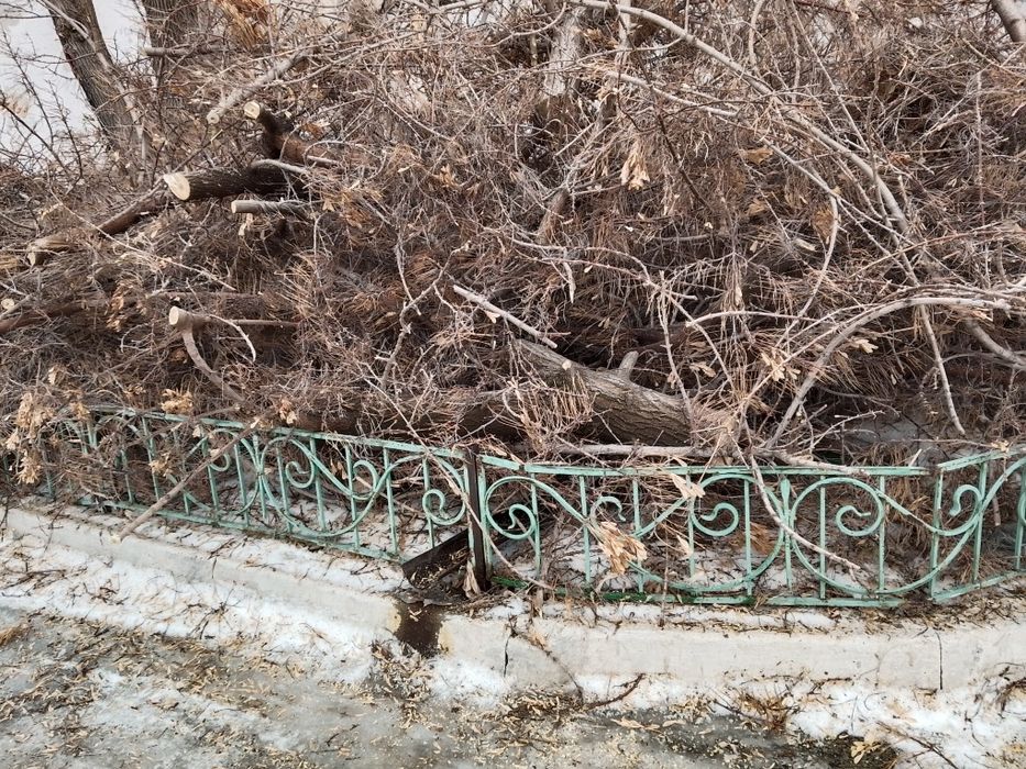 Продам дрова не дорого