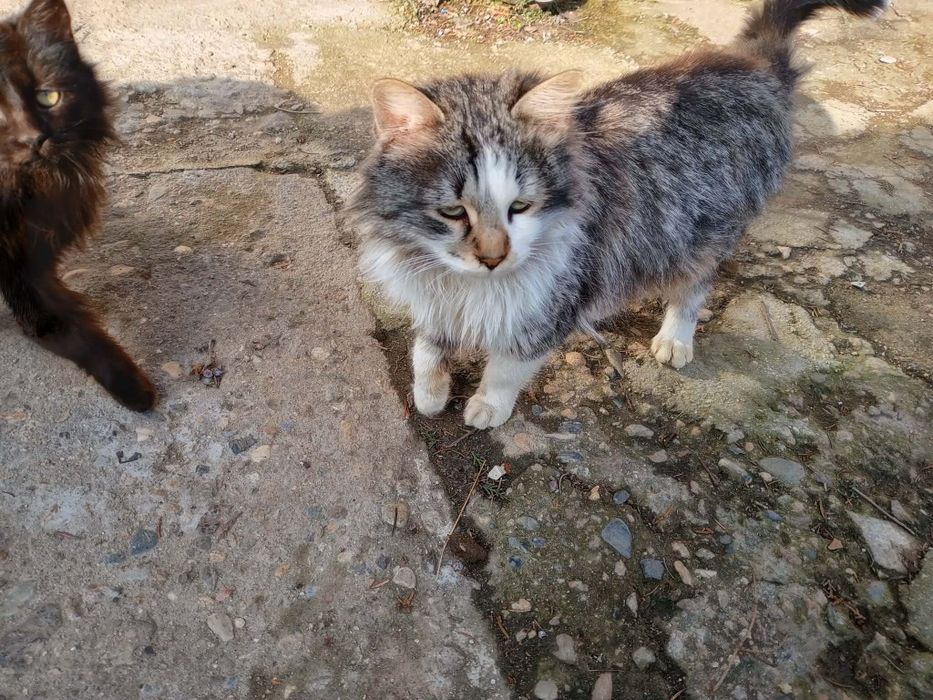 Подаряват се! ..