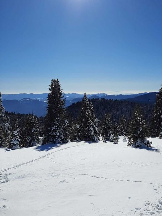 Продава се Парцел в с. Зорница, Област Смолян - 4414 кв.м за 17 €/кв.м - Снимка #4