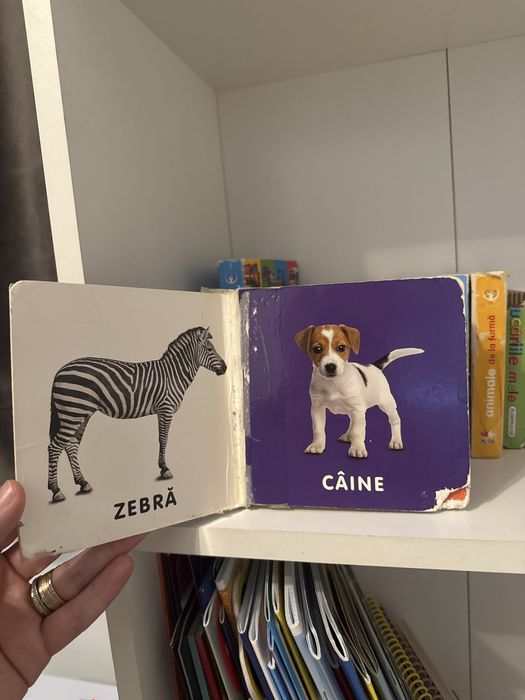 Set carti prima mea biblioteca + primele 100 de masini