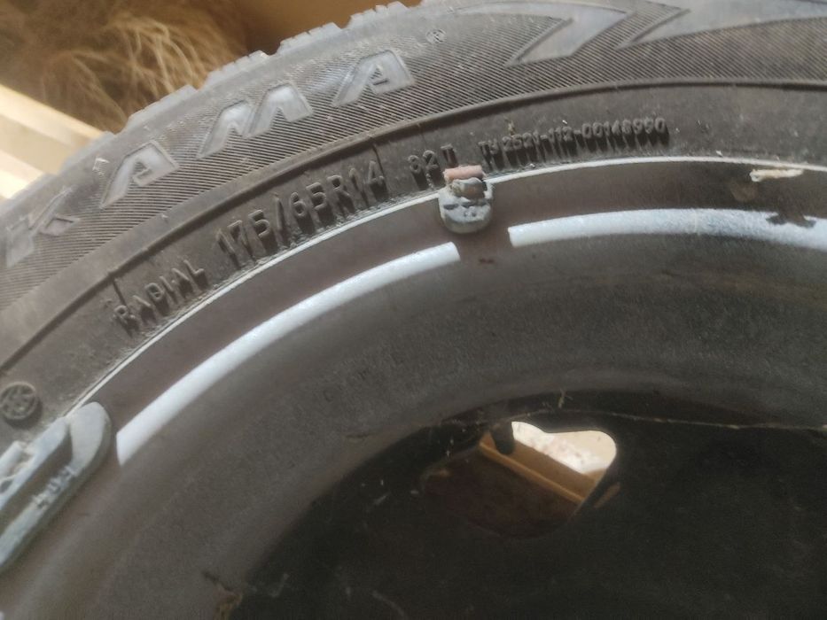 Зимний шиповника балон