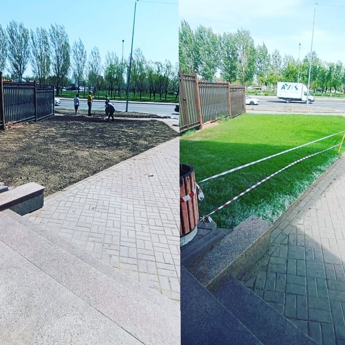 Газон посевной, рулонный!
