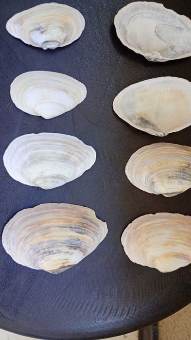 Декорация за аквариум