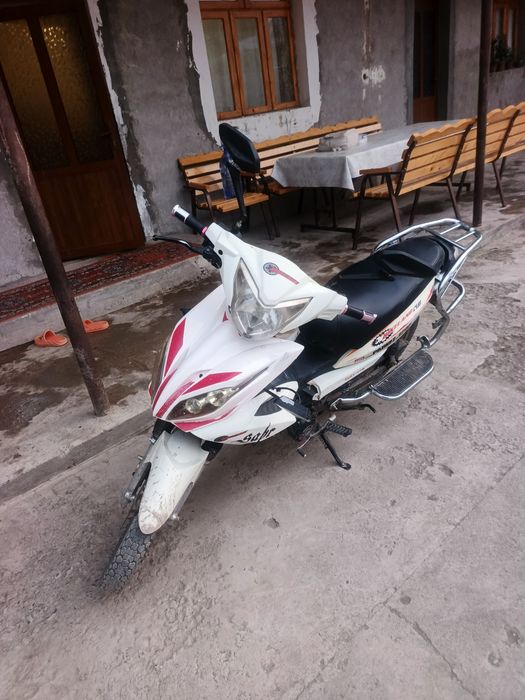 Moto bekland 2024