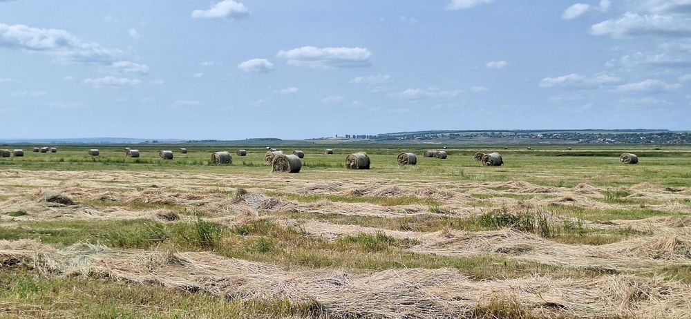 Baloti fan uscat 120x120 – calitate superioară