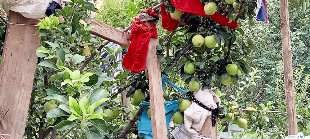 Үй мен бизнес сатылады