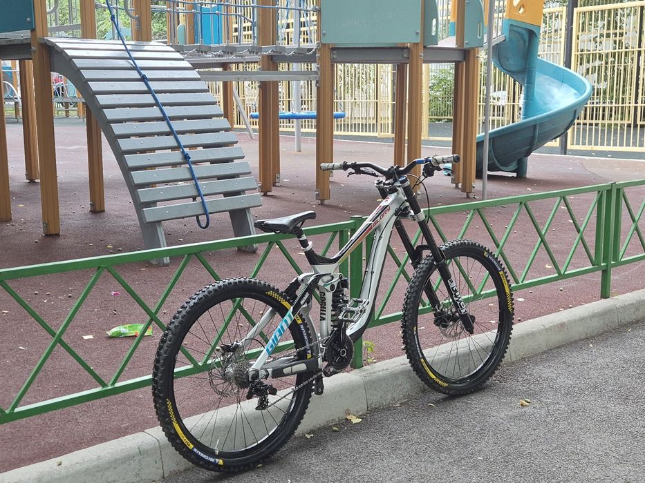 Giant  glory  carbon