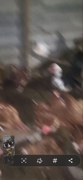 Тауықтар бар , жұмыртқа бағытындағы