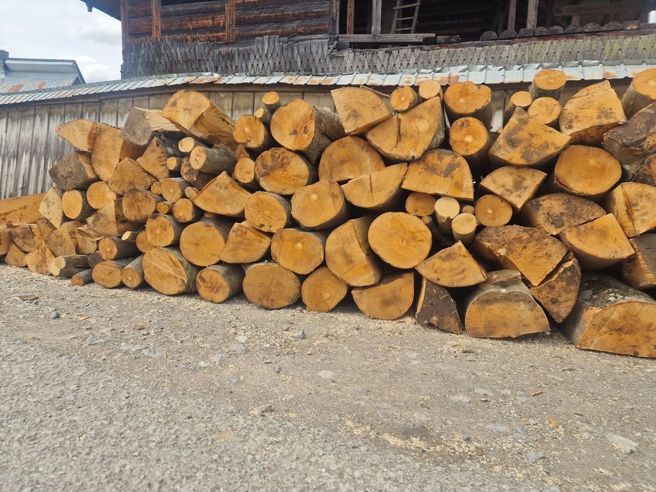 VÂND lemne de fag / asigur transport!