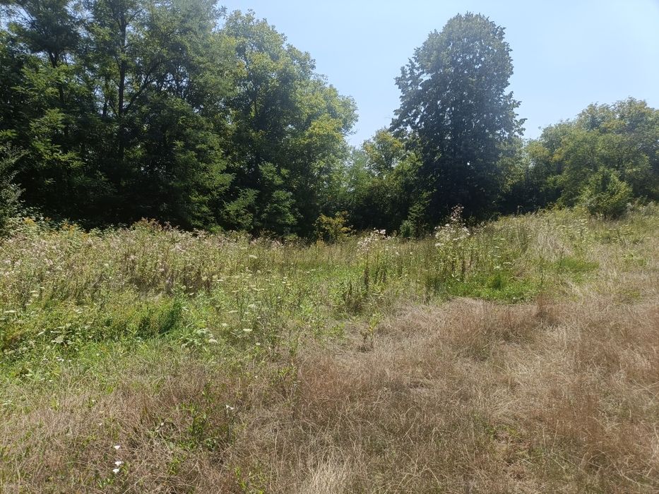 Vând teren pentru casa Ariceștii Zeletin