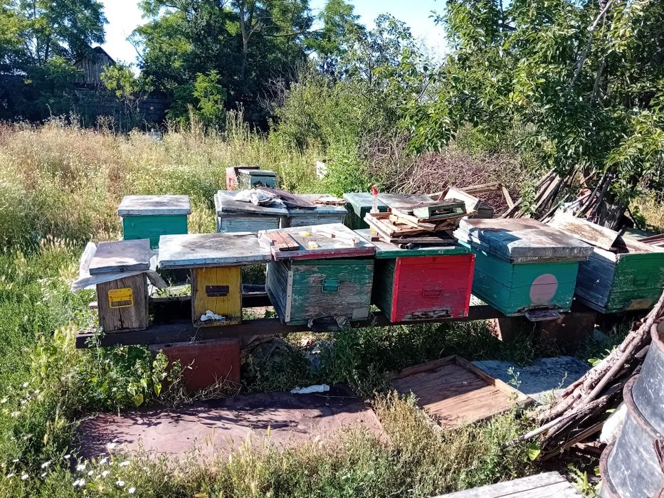 Stupi/Centrifuga apicola/ strecurătoare apicola/ bidoane miere sau lap
