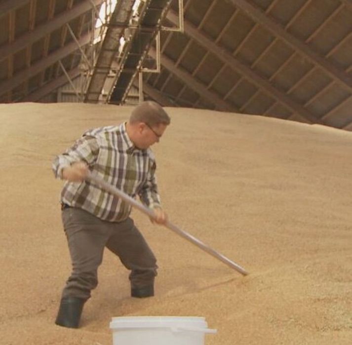 Ciorapi sondare cereale