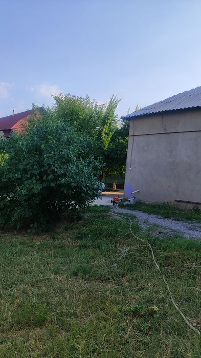 Продается дом с участком