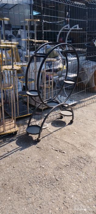 Gul turadigon padagolnik yangi