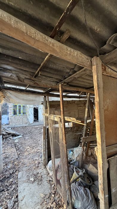 Продаю деревья, бревна, доски,