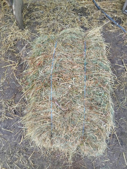 Baloti de fana , otava !!! 11 lei