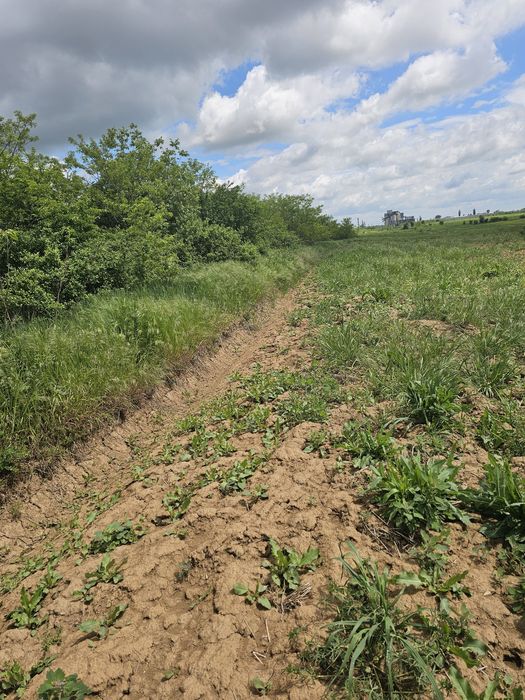 Peris..teren intravilan pe strada cu case , strada primariei