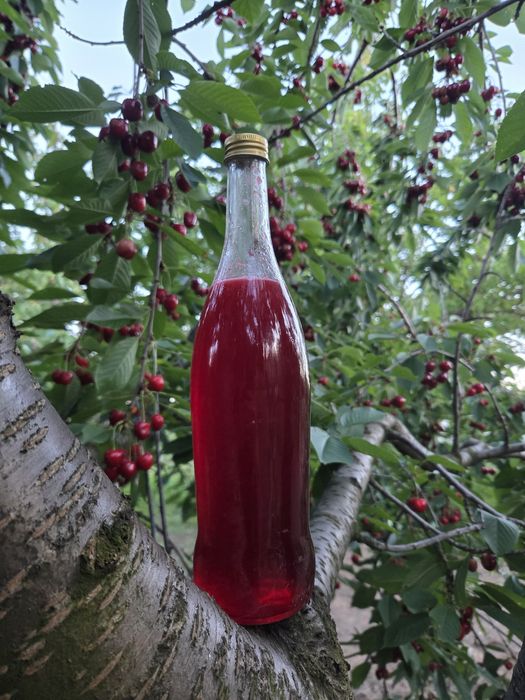 Dulceață/Sirop/Compot