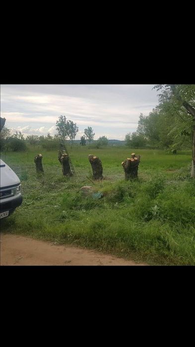 Vand teren intravilan, Vanju Mare, 3000 m
