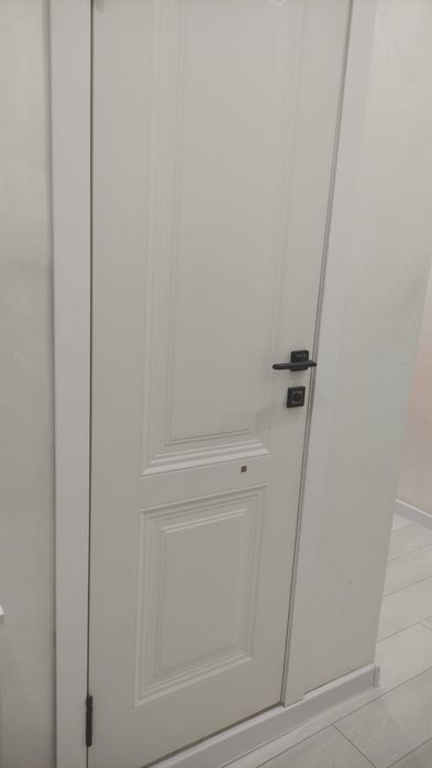 Дверь модель Шелли