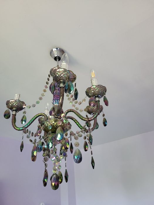 Предлага се Полилей за стая