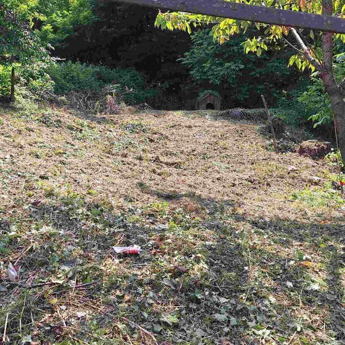 Поддръжка и почистване на зелени площи/Косене на трева