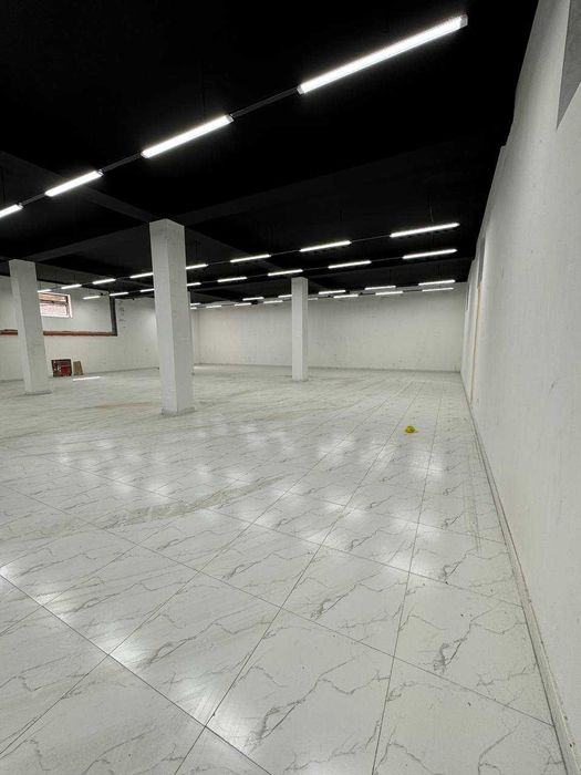 Сдаётся здание под шоурум, автосалон, первая линия, Рысовий